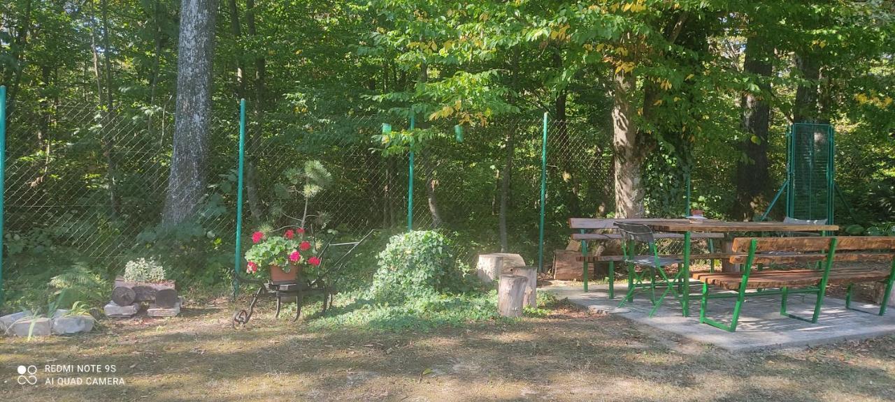 Holiday Home Nina Petrinja Buitenkant foto